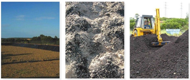 （写真は、オーストラリアでの作業の様子）