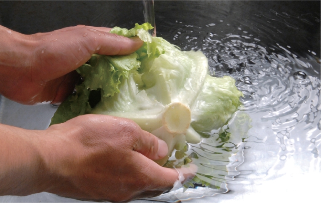 野菜・果物・魚等の殺菌